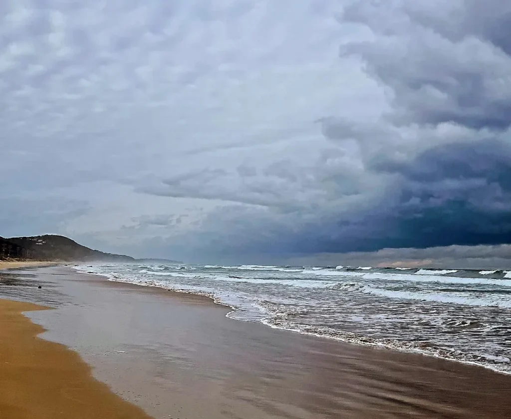 Conservation Efforts on the Great Ocean Road