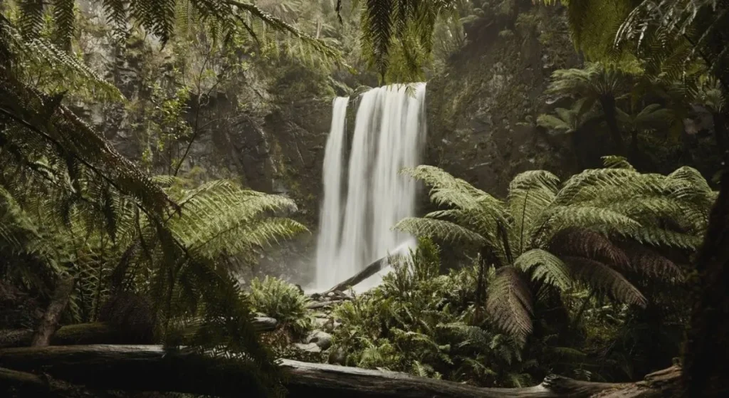 Eco-Tourism Opportunities on the Great Ocean Road