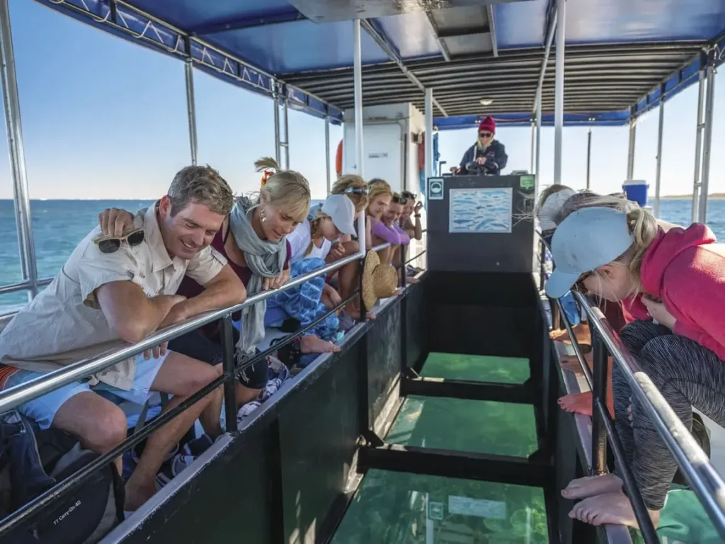 Glass Bottom Boat Cruise