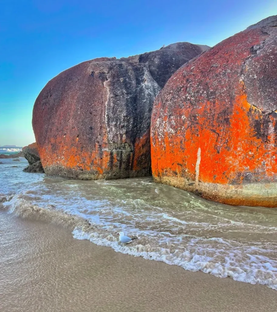 National Park Wilsons Promontory