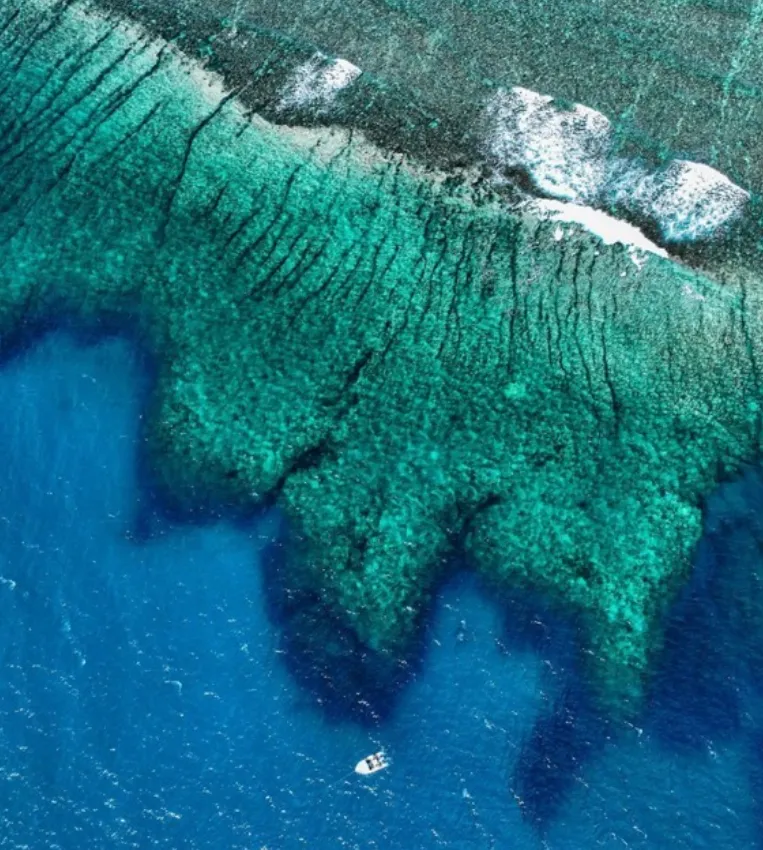 Ningaloo Reef A Coral Reef