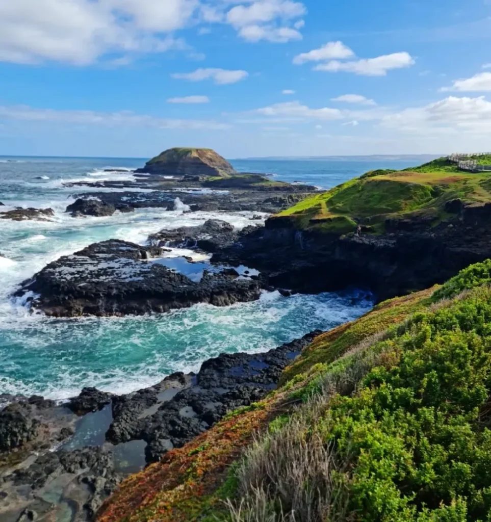 Phillip Island Penguin Tour