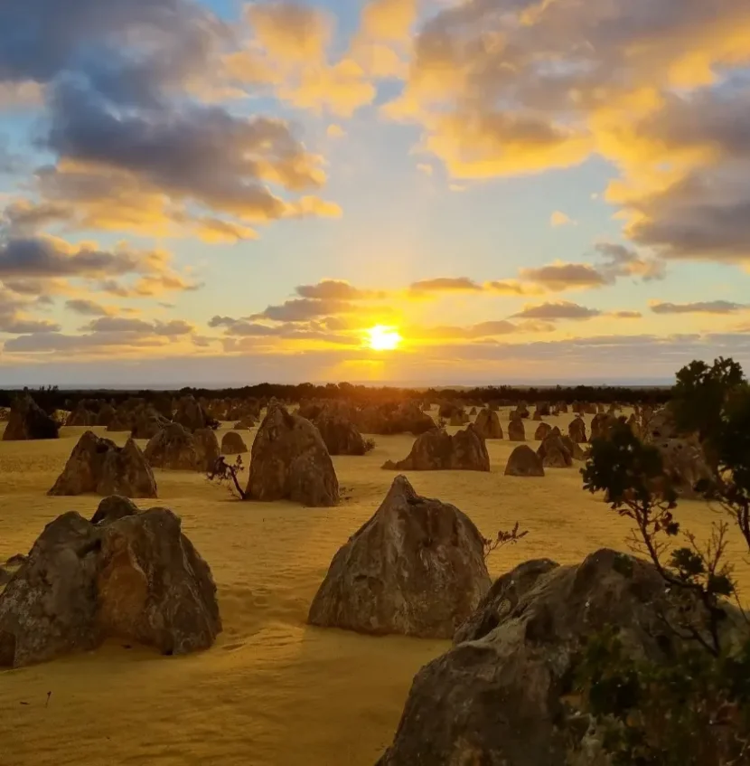 Photographing the Pinnacles Desert