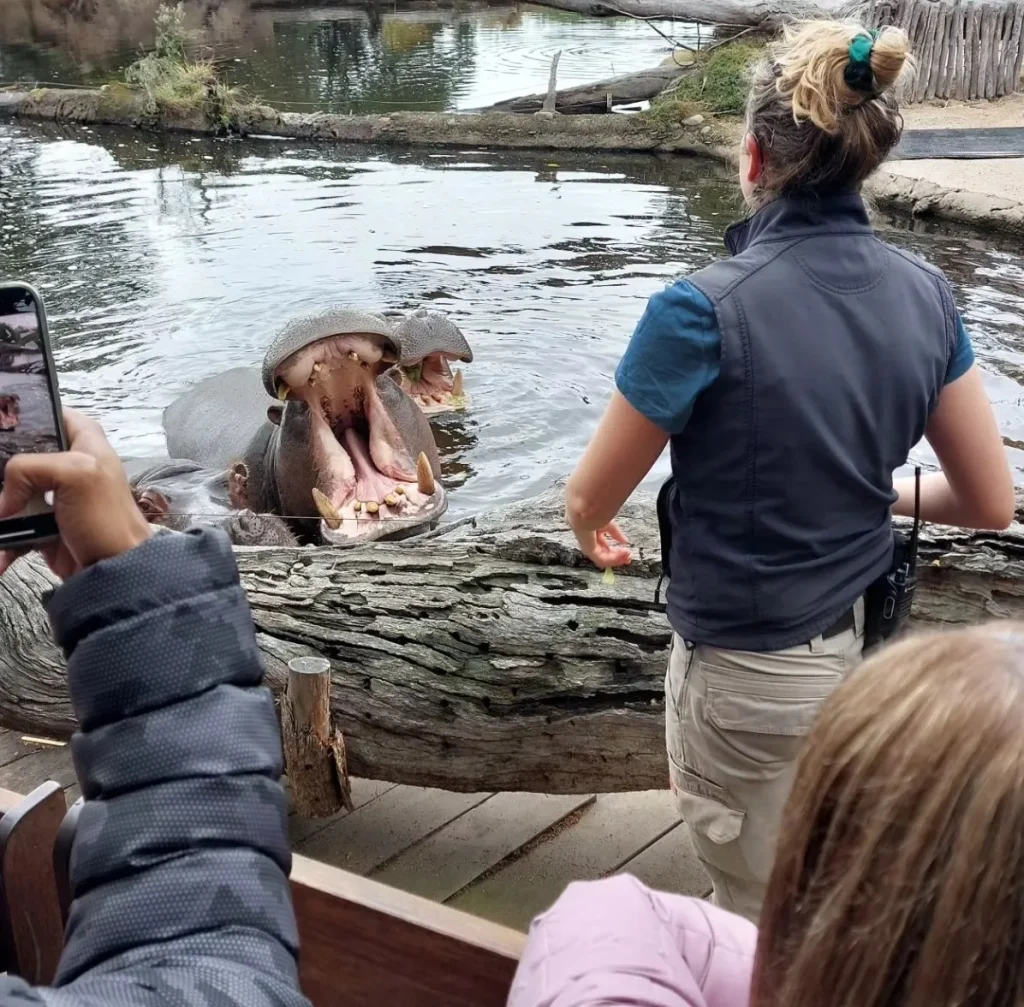 The Werribee Open Range Zoo