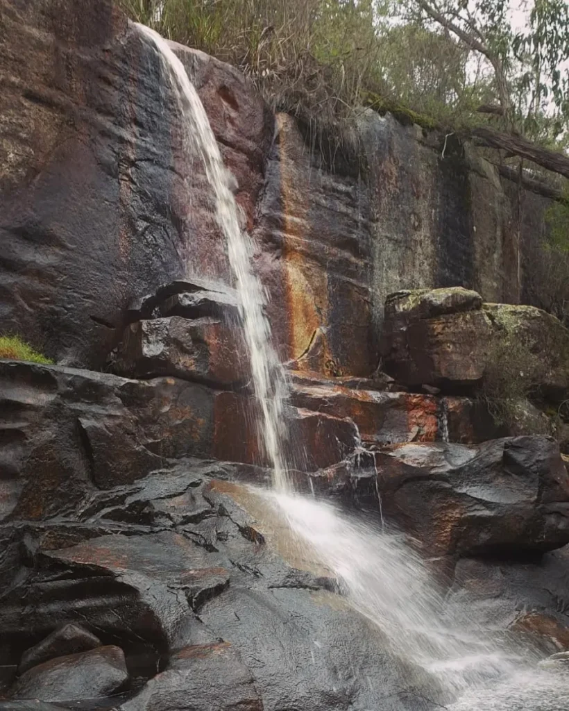 Grampians tour