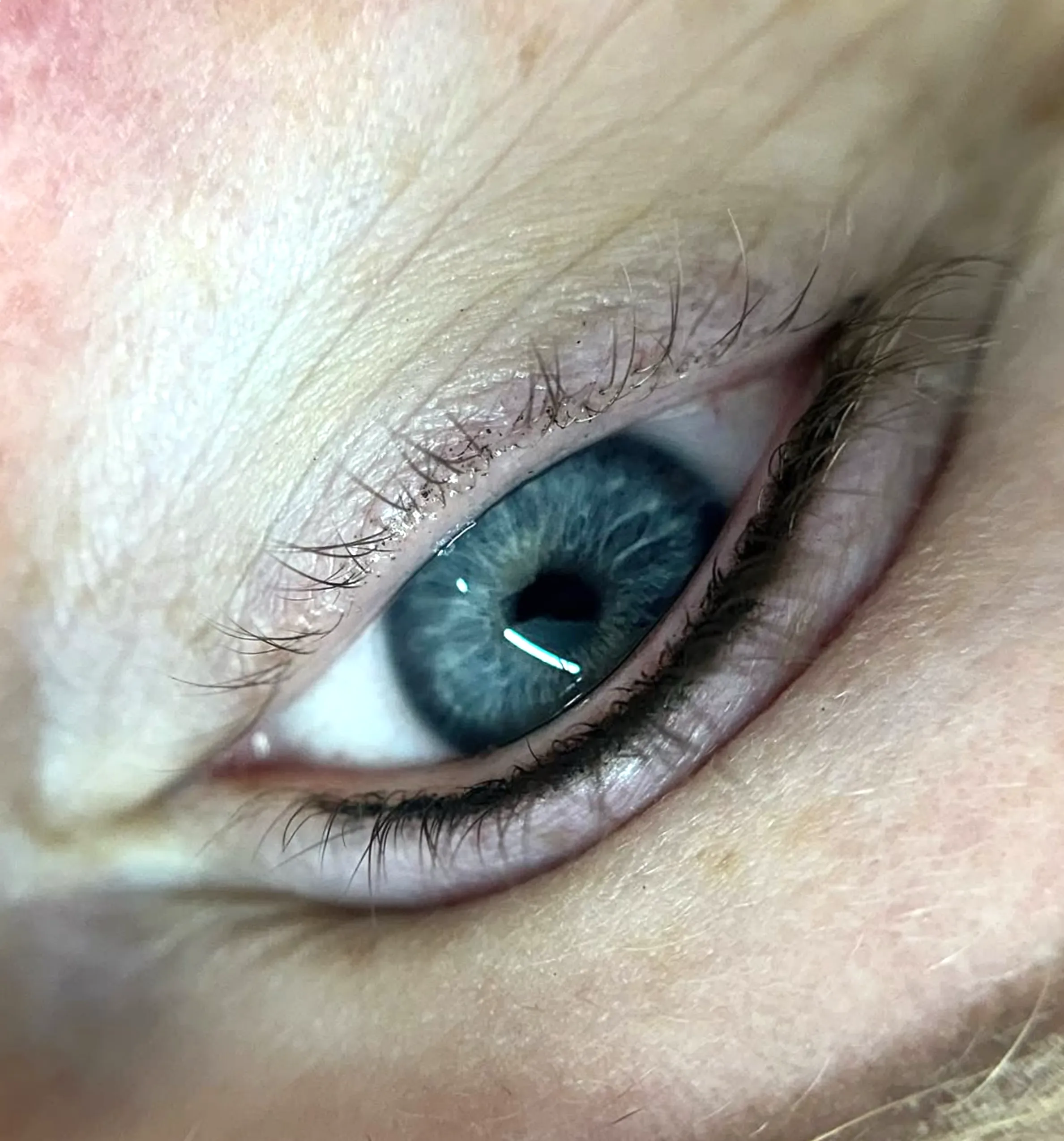 lash serum extensions