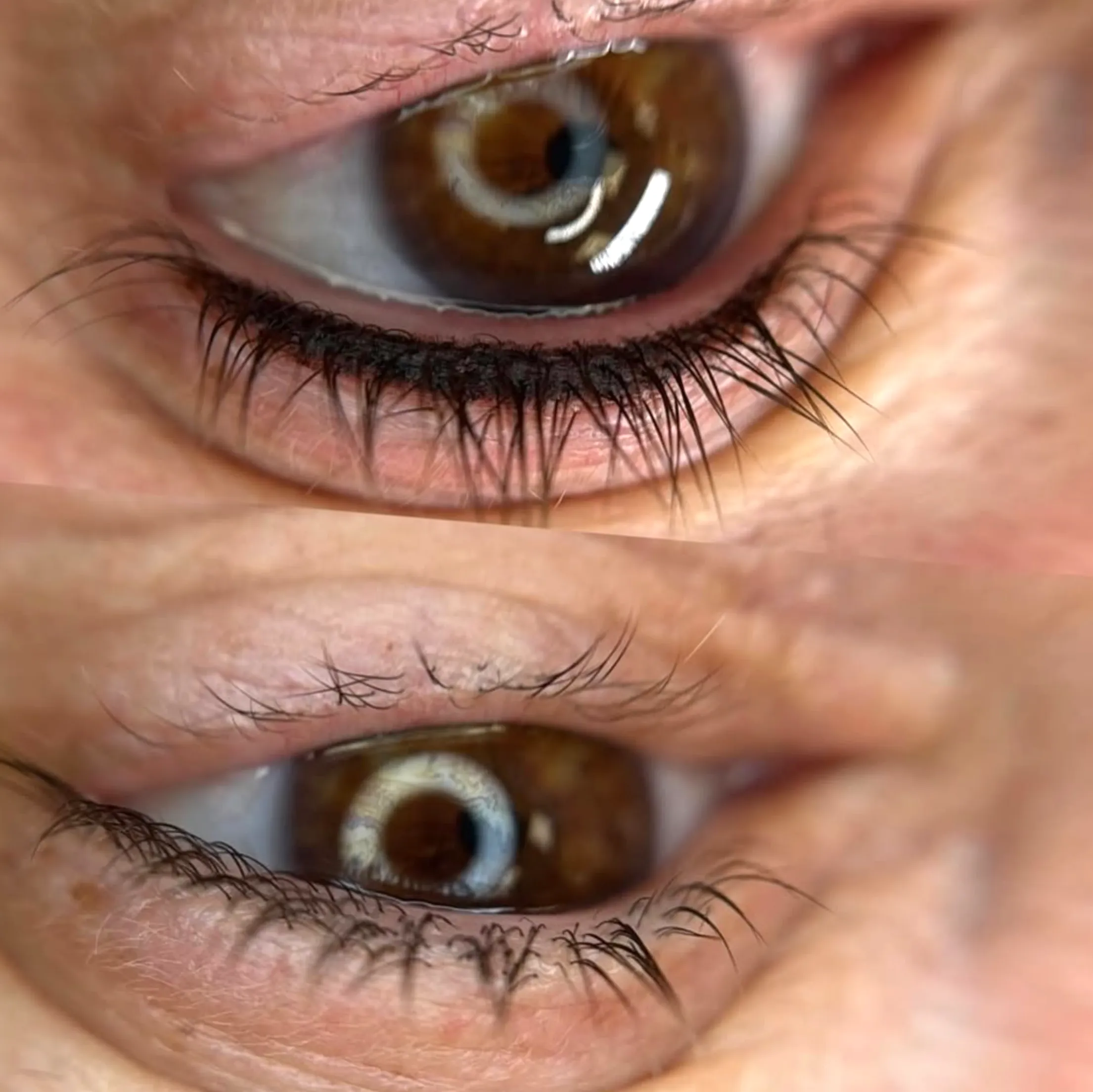 lash tech Melbourne