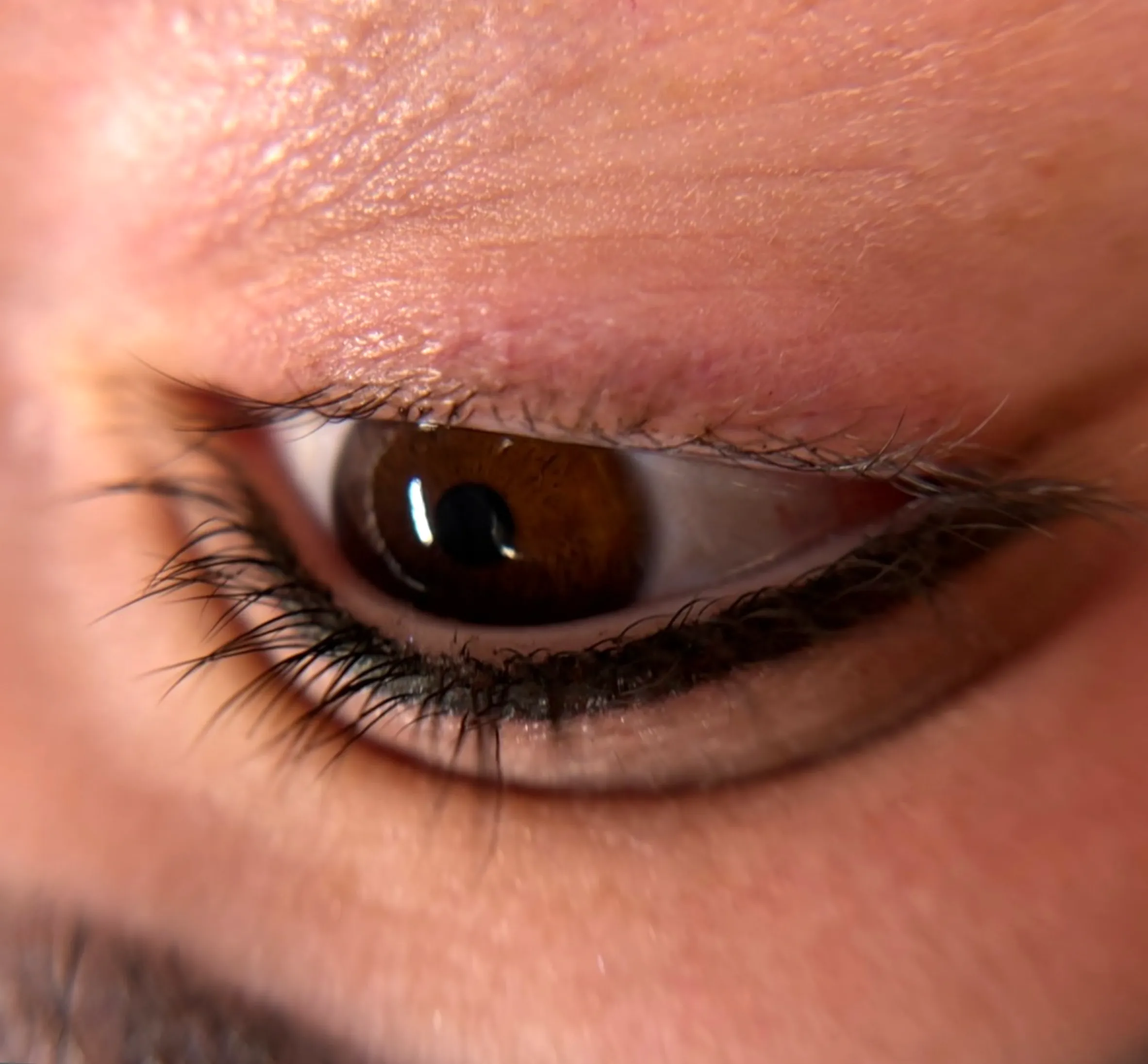 natural lash growth