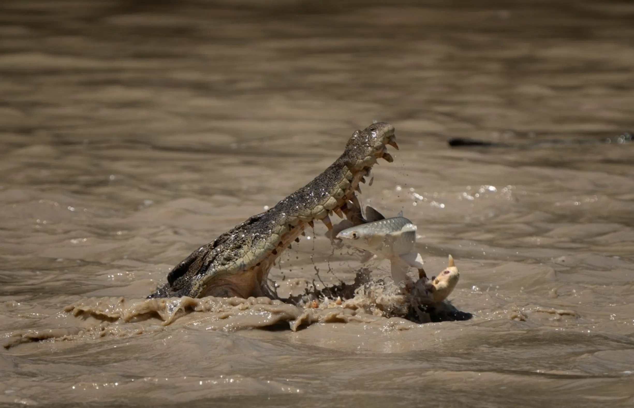 Kakadu fishing regulations