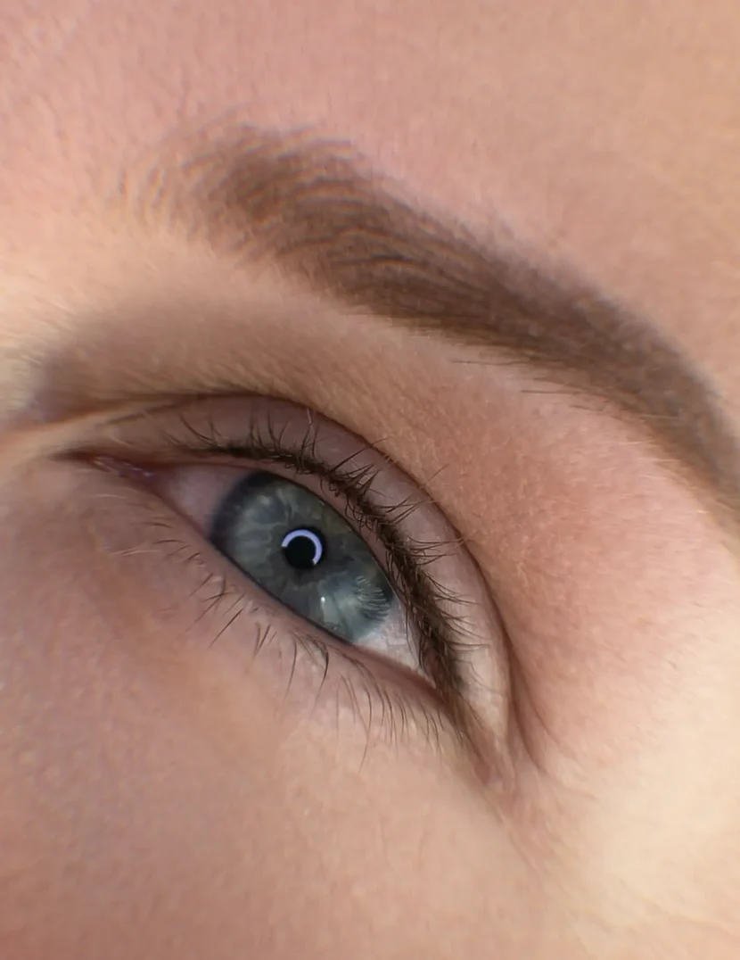 Where To Find Nano Brow Vs. Microblading Conversion Courses?